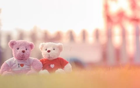 Teddy bear with sunset Stock Photos