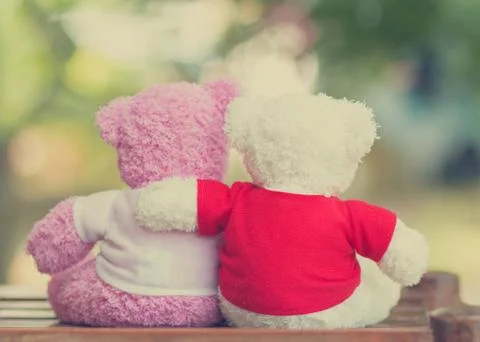 Teddy bear with sunset Stock Photos