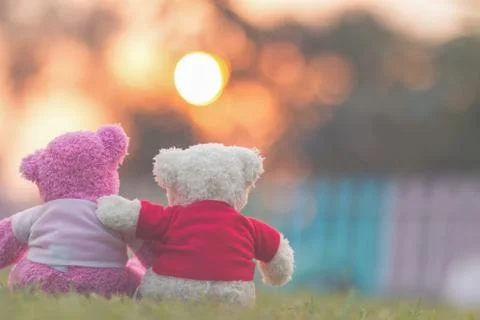Teddy bear with sunset Stock Photos