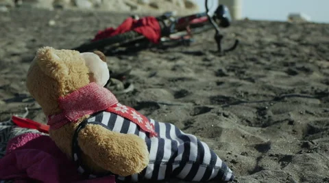 Teddy bear suntanning Stock Footage 45520596