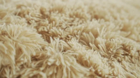 Teddy bear surface shallow DOF 4K sliding video Stock Footage 169303085