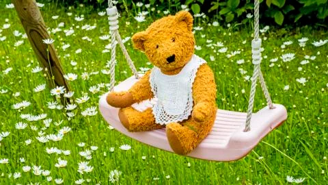Teddy bear on swing Stock Photos