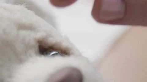 Teddy bear in vintage style: the process of creation. Handmade Stock Footage 75485562