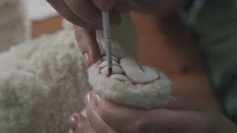 Teddy bear in vintage style: the process of creation. Handmade Stock Footage 75487408