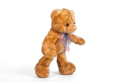 Teddy bear walking on white background. Stock Photos