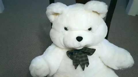 Teddy bear white .4K Stock Footage 53299698