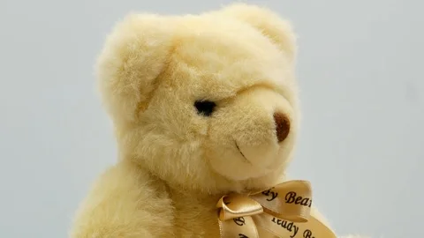 Teddy bear on a white background 4k Stock-Footage 120203070