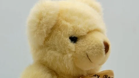 Teddy bear on a white background 4k Stock-Footage 120203348