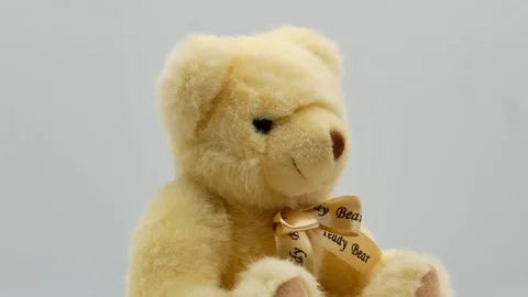 Teddy bear on a white background 4k Stock-Footage 120203583
