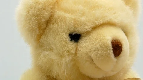 Teddy bear on a white background 4k Stock-Footage 120203764
