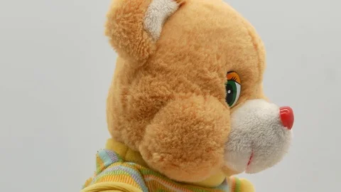 Teddy bear on a white background 4k Stock-Footage 120203958