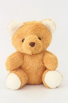 Teddy Bear on white background. Stock-Fotos