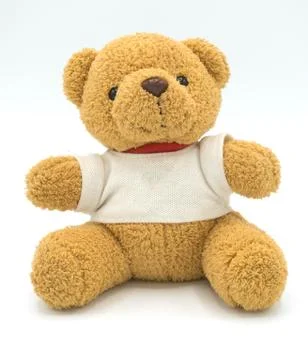 Teddy bear on a white background. Stock Photos