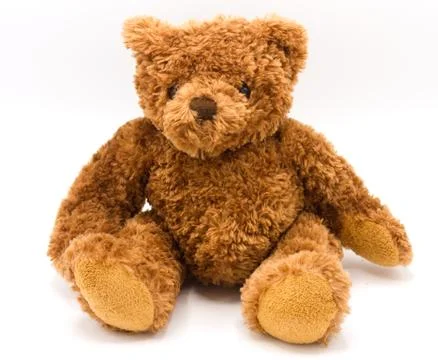 Teddy bear on a white background. Stock Photos
