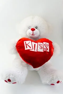 Teddy bear on a white background Stock Photos