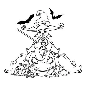 Teddy bear in a witch hat and mantle with a broom in his hands sits on a Hall Stock Illustration