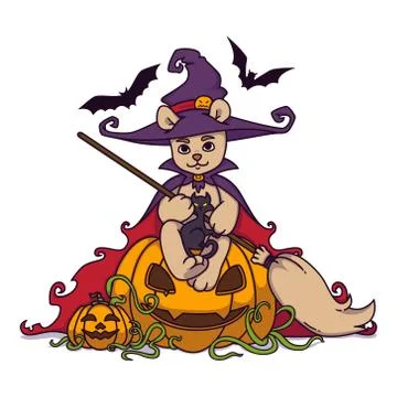 Teddy bear in a witch hat and mantle with a broom in his hands sits on a Hall Stock Illustration