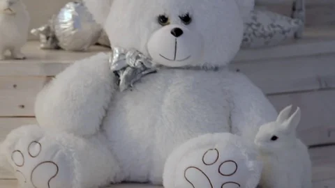 Teddy bears and bunnies Stock Footage 71278112