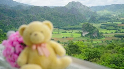 Teddy bears and romantic bouquets are next to the valley pastoral Stock Footage 313343696