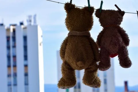 Teddy Bears drying at the clothesline Foto stock