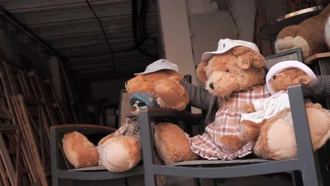 Teddy bears Stock Footage 169858532