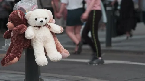 Teddy bears hanging with people walking by Stock Footage 137363646