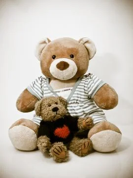 Teddy Bears Stock Photos
