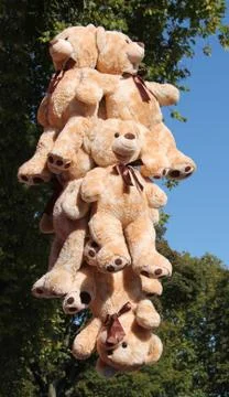 Teddy Bears. Foto stock
