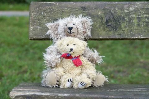 Teddy bears Stock Photos