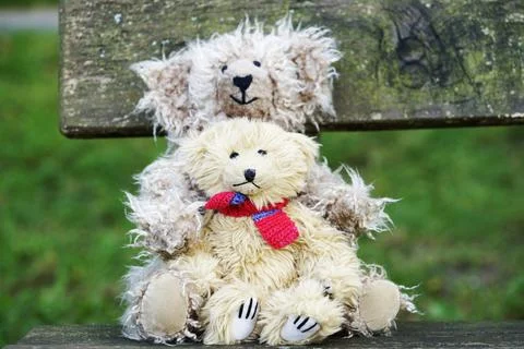 Teddy bears Stock Photos