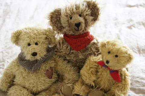 Teddy bears Stock Photos