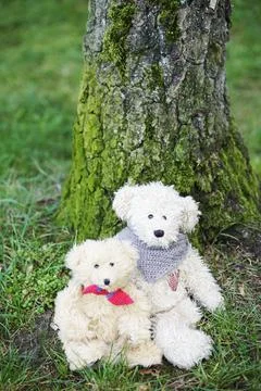 Teddy bears Stock Photos