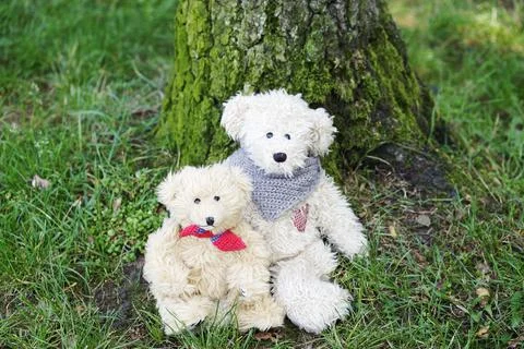 Teddy bears Stock Photos
