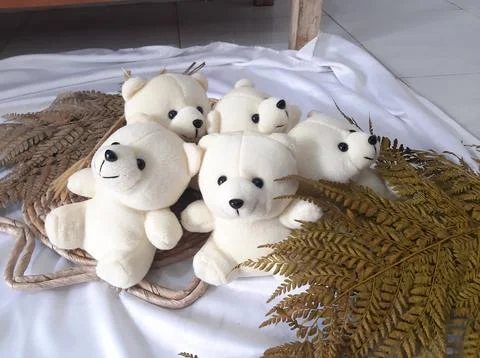 Teddy bears Stock Photos