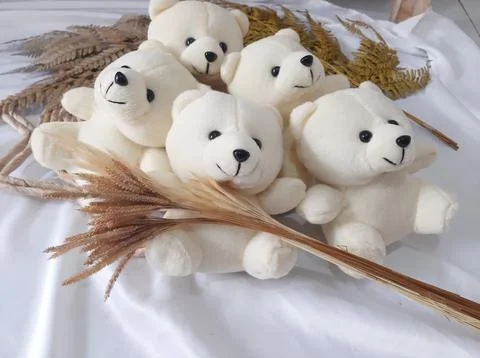 Teddy bears Stock Photos