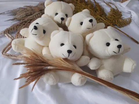 Teddy bears Stock Photos