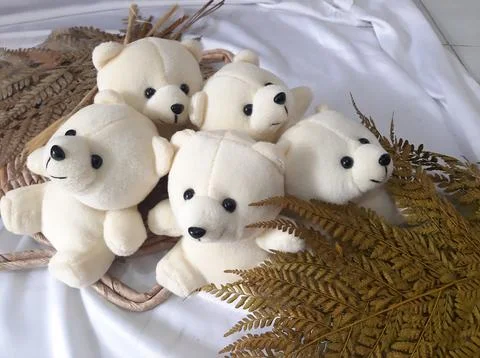 Teddy bears Фото