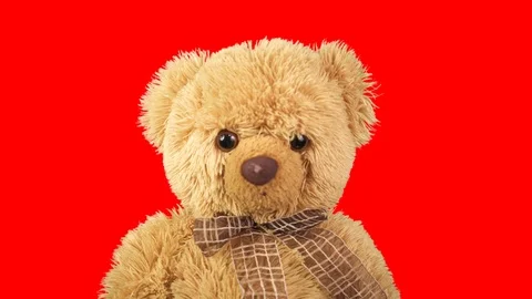 Teddy bears on a red background. Children's toy in motion. Favorite toy. Stock Footage 127306383