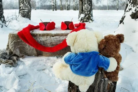 Teddy bears rest in winter forest Stock Photos