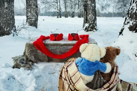 Teddy bears rest in winter forest Stock Photos