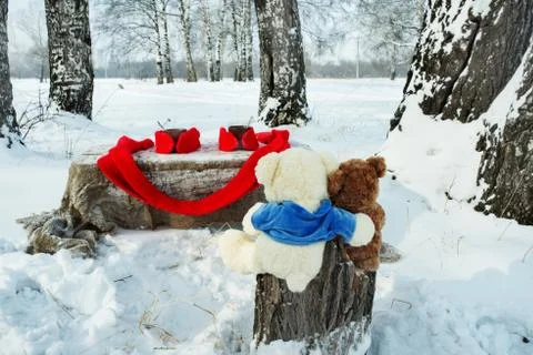 Teddy bears rest in winter forest Stock Photos