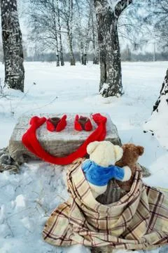 Teddy bears rest in winter forest Stock Photos