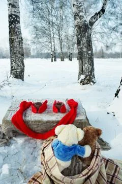 Teddy bears rest in winter forest Stock Photos