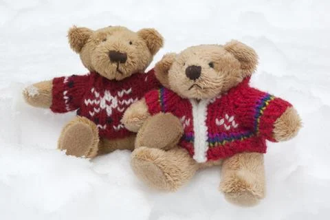 Teddy Bears in the Snow Stock Photos