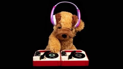 Teddy dog moving djing on tunrtables with headphones Видео 150367663