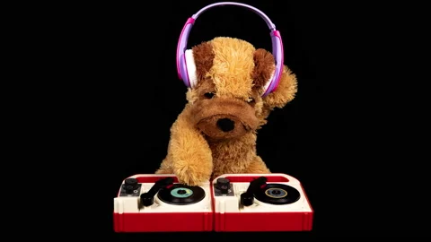 Teddy dog moving djing on tunrtables with headphones Видео 150371500