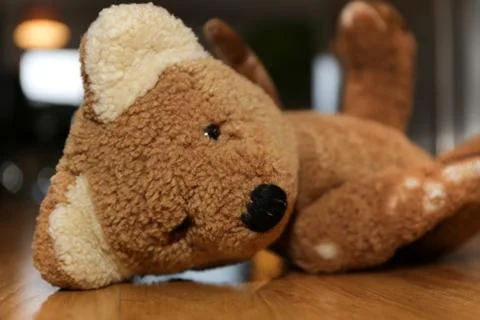 Teddy on the floor Stock Photos