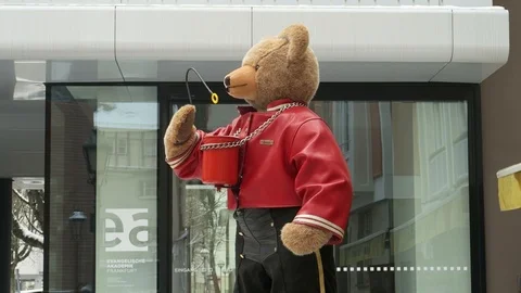 Teddy Video stock 88496143