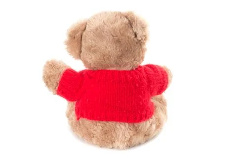 Teddy isolated on white background. back view Stock Photos