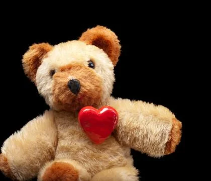 Teddy lover Stock Photos
